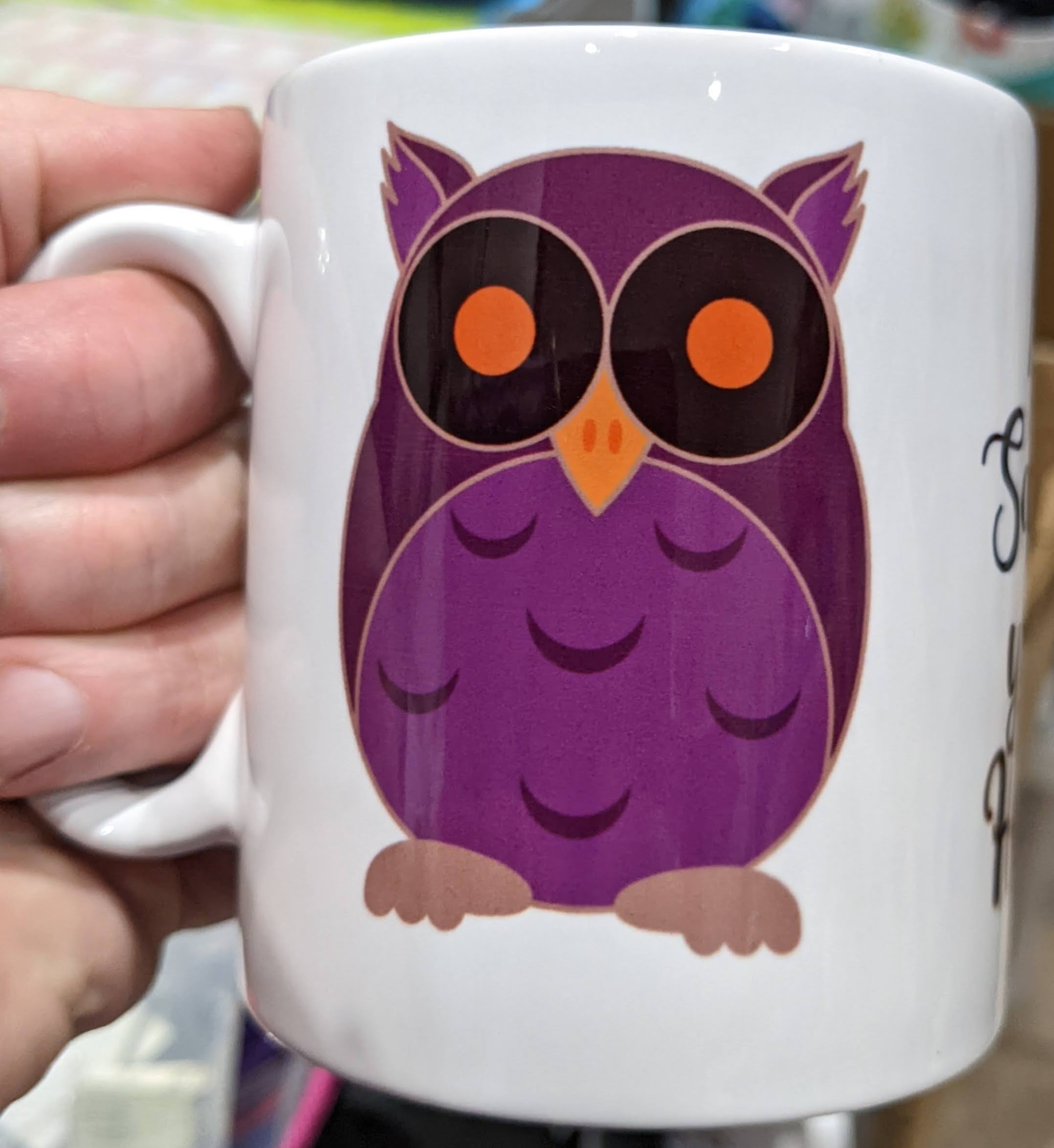 Awesome Owl CHARACTER and Matching MUG set